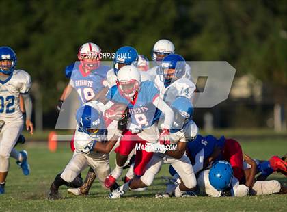 Thumbnail 1 in Largo @ Pinellas Park photogallery.