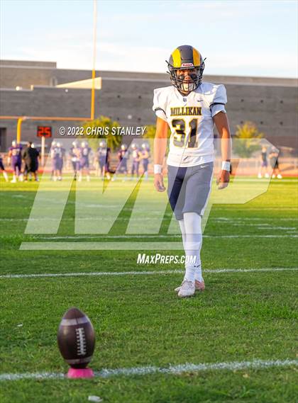 Thumbnail 2 in Millikan @ Sunrise Mountain photogallery.