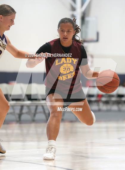 Thumbnail 2 in Deer Park vs Wylie (Texas Association of Basketball Coaches Showcase) photogallery.