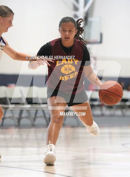 Thumbnail 1 in Deer Park vs Wylie (Texas Association of Basketball Coaches Showcase) photogallery.