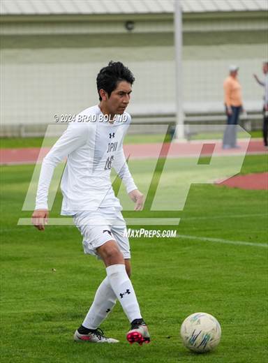 null - Photo 11