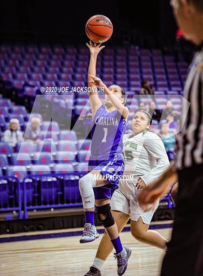 Thumbnail 3 in Catalina @ Amphitheater (MLK Basketball Classic) photogallery.