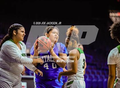 Thumbnail 3 in Catalina @ Amphitheater (MLK Basketball Classic) photogallery.