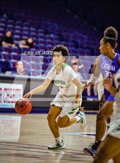 Thumbnail 2 in Catalina @ Amphitheater (MLK Basketball Classic) photogallery.