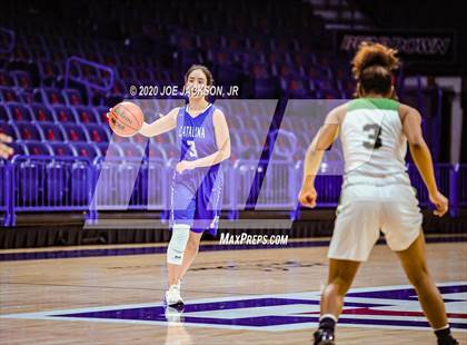 Thumbnail 1 in Catalina @ Amphitheater (MLK Basketball Classic) photogallery.