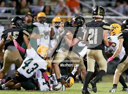 Thumbnail 3 in White Oak @ Croatan photogallery.