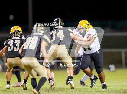 Thumbnail 1 in White Oak @ Croatan photogallery.