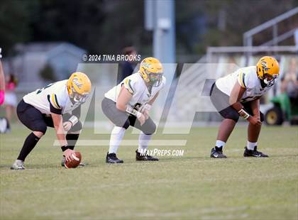 Thumbnail 3 in White Oak @ Croatan photogallery.