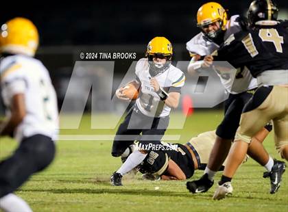 Thumbnail 3 in White Oak @ Croatan photogallery.