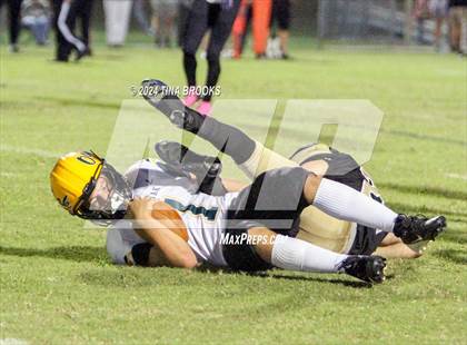 Thumbnail 2 in White Oak @ Croatan photogallery.