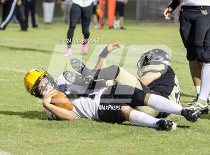 Thumbnail 3 in White Oak @ Croatan photogallery.