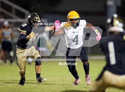 Thumbnail 3 in White Oak @ Croatan photogallery.