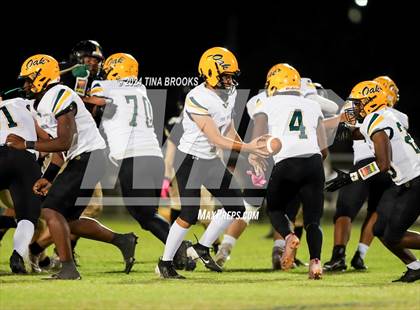 Thumbnail 1 in White Oak @ Croatan photogallery.