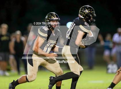 Thumbnail 2 in White Oak @ Croatan photogallery.