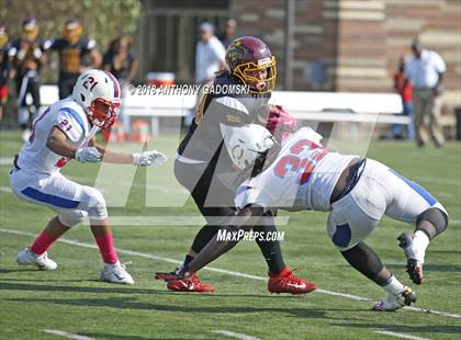 Thumbnail 1 in Curie @ Solorio photogallery.