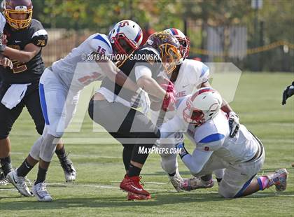Thumbnail 1 in Curie @ Solorio photogallery.