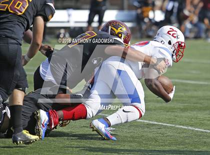 Thumbnail 2 in Curie @ Solorio photogallery.