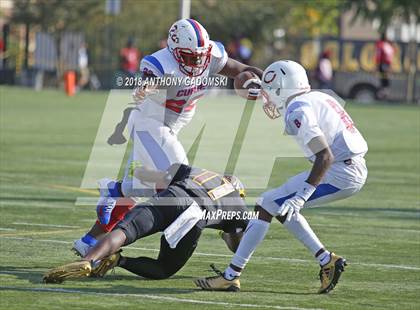 Thumbnail 2 in Curie @ Solorio photogallery.