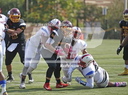 Thumbnail 2 in Curie @ Solorio photogallery.