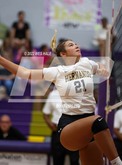 Thumbnail 2 in Hernando @ DeSoto Central photogallery.