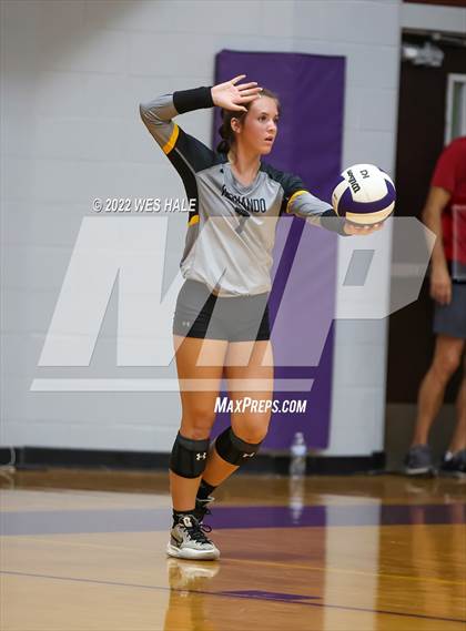 Thumbnail 1 in Hernando @ DeSoto Central photogallery.