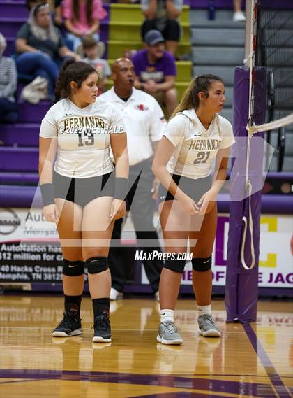 Thumbnail 3 in Hernando @ DeSoto Central photogallery.