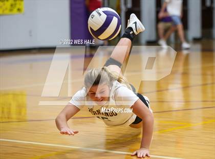Thumbnail 1 in Hernando @ DeSoto Central photogallery.
