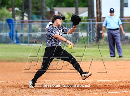 Thumbnail 2 in Jacksonville @ Havelock photogallery.
