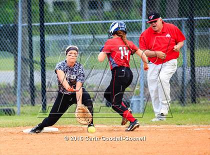 Thumbnail 2 in Jacksonville @ Havelock photogallery.