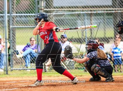 Thumbnail 2 in Jacksonville @ Havelock photogallery.