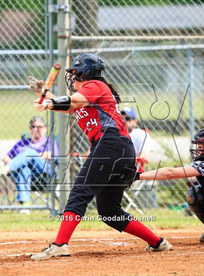 Thumbnail 1 in Jacksonville @ Havelock photogallery.