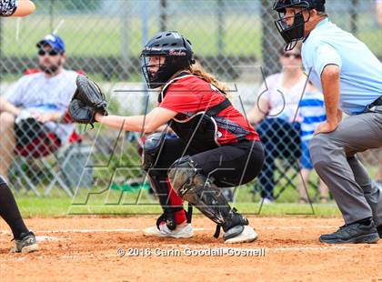 Thumbnail 2 in Jacksonville @ Havelock photogallery.