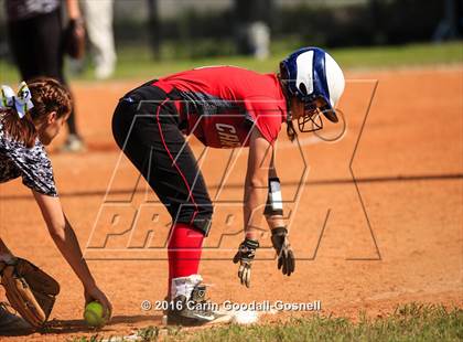 Thumbnail 2 in Jacksonville @ Havelock photogallery.