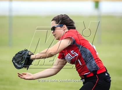 Thumbnail 2 in Jacksonville @ Havelock photogallery.