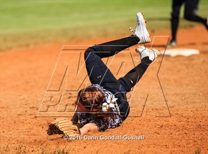 Thumbnail 2 in Jacksonville @ Havelock photogallery.