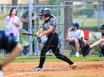 Thumbnail 3 in Jacksonville @ Havelock photogallery.
