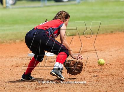 Thumbnail 3 in Jacksonville @ Havelock photogallery.