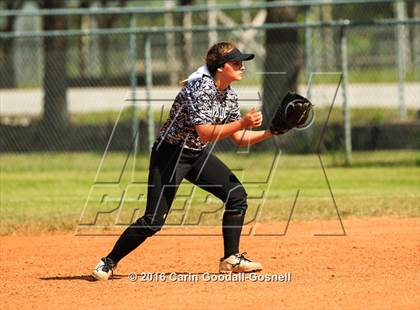 Thumbnail 1 in Jacksonville @ Havelock photogallery.