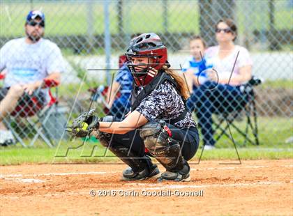 Thumbnail 2 in Jacksonville @ Havelock photogallery.