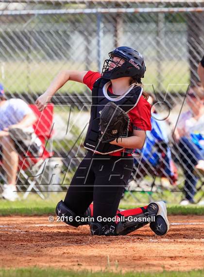 Thumbnail 2 in Jacksonville @ Havelock photogallery.