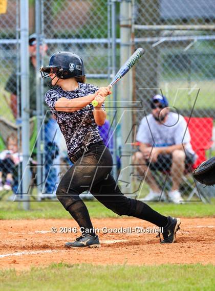 Thumbnail 1 in Jacksonville @ Havelock photogallery.