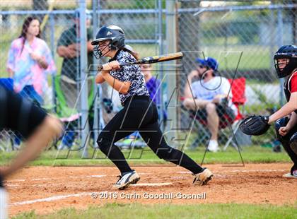 Thumbnail 1 in Jacksonville @ Havelock photogallery.