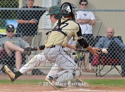 Thumbnail 1 in St. Petersburg Catholic @ Shorecrest Prep photogallery.