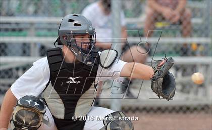 Thumbnail 3 in St. Petersburg Catholic @ Shorecrest Prep photogallery.