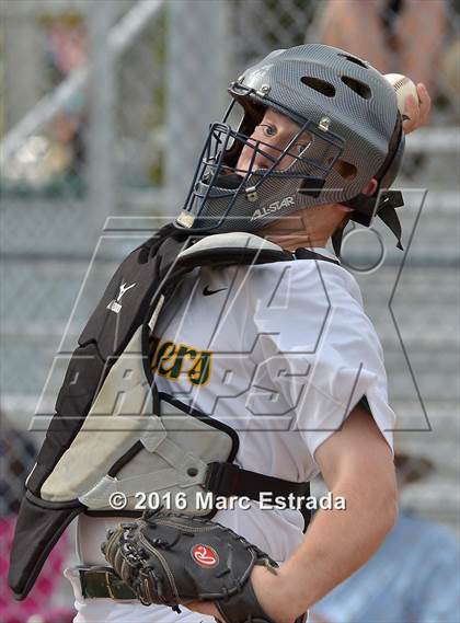 Thumbnail 3 in St. Petersburg Catholic @ Shorecrest Prep photogallery.