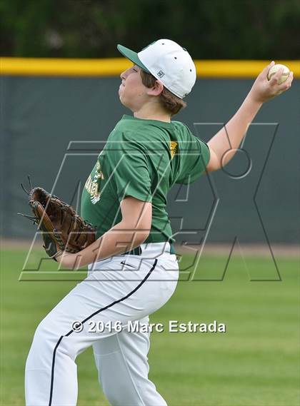 Thumbnail 3 in St. Petersburg Catholic @ Shorecrest Prep photogallery.
