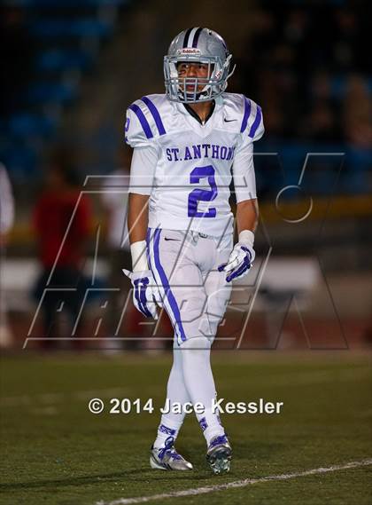 Thumbnail 1 in St. Anthony vs. Grace Brethren (CIF SS Semifinal) photogallery.
