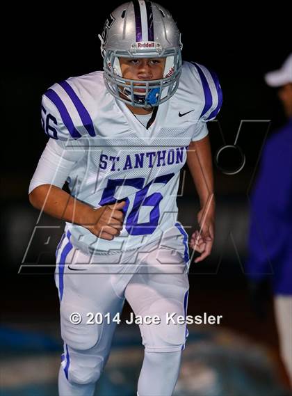 Thumbnail 2 in St. Anthony vs. Grace Brethren (CIF SS Semifinal) photogallery.