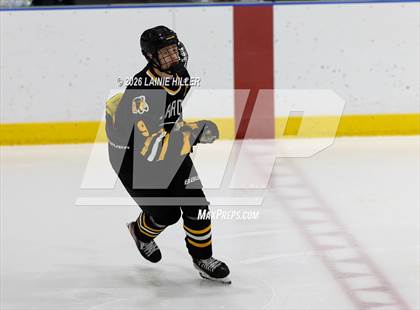 Thumbnail 3 in Warroad @ Bemidji photogallery.