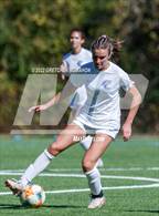 Photo from the gallery "Ludlowe @ Wilton"